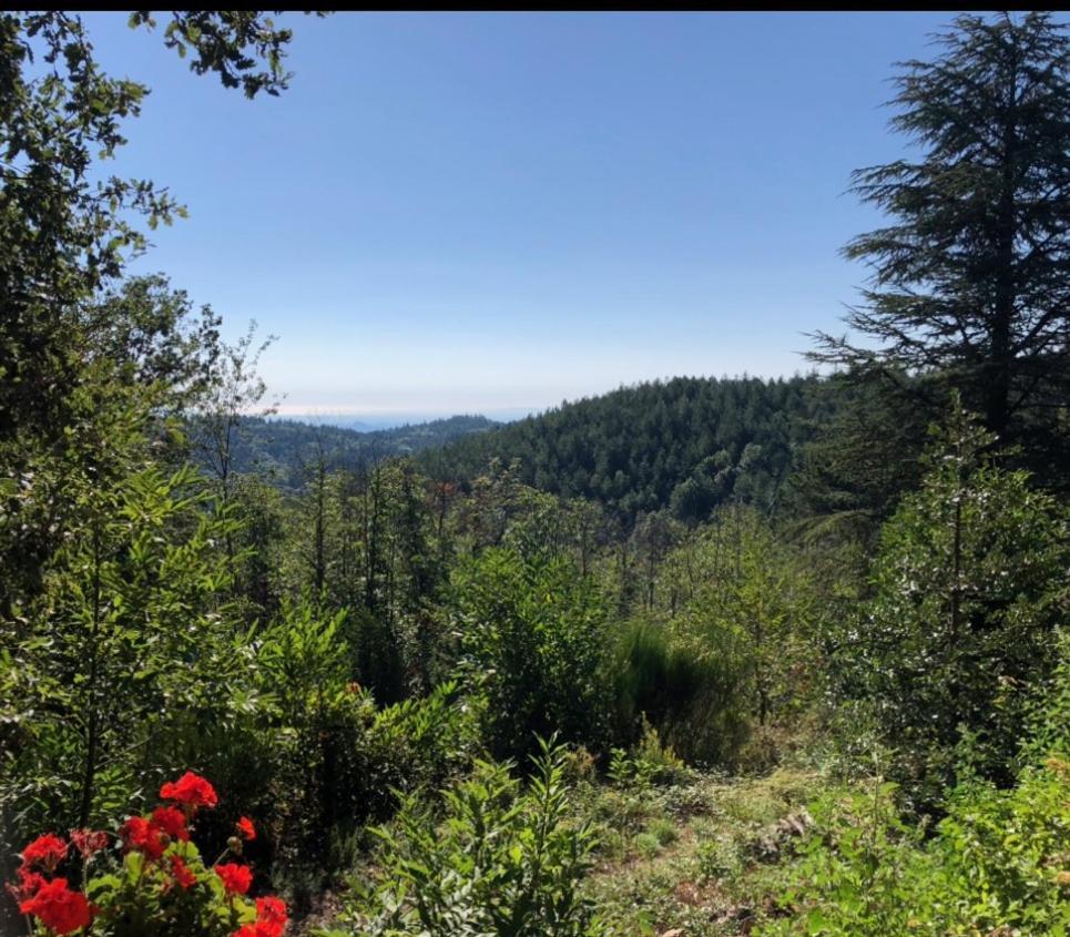 Reve D'Etoiles Bed & Breakfast Saint-Laurent-de-Cerdans Dış mekan fotoğraf